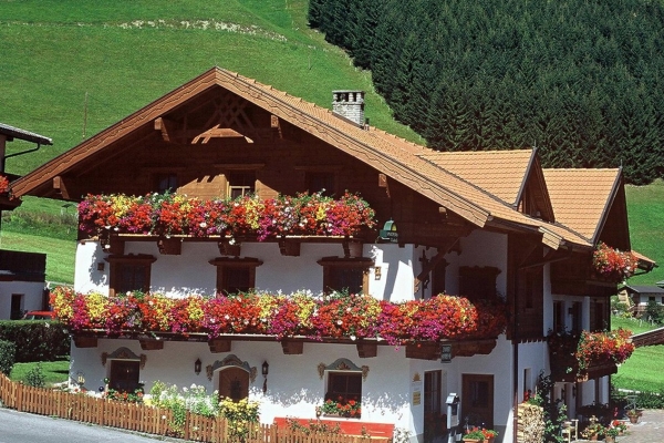 Sportpension Elisabeth Pension